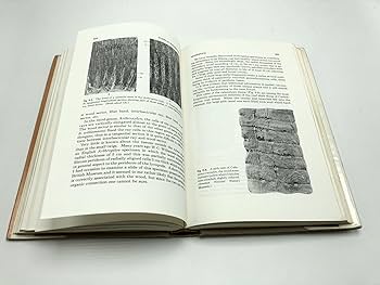 Amazon | Studies in Palaeobotany | Andrews, Henry N. | Biological